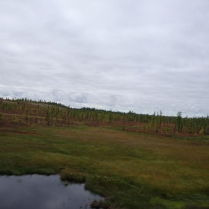 img_107978_8392.jpg