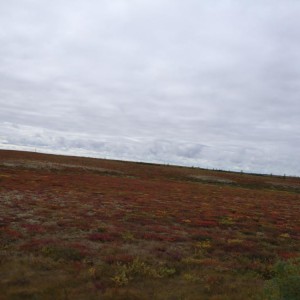 img_107979_8392.jpg