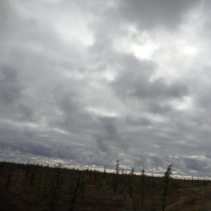 img_108033_8392.jpg