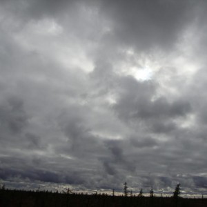img_108034_8392.jpg