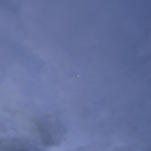 img_108218_8392.jpg