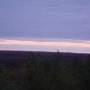 img_108392_8392.jpg