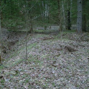 img_108815_21149.jpg
