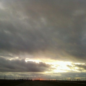 img_108845_8392.jpg