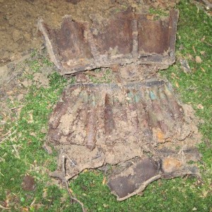 img_109315_29030.jpg