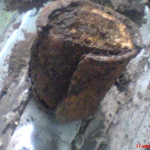 img_113196_16659.jpg