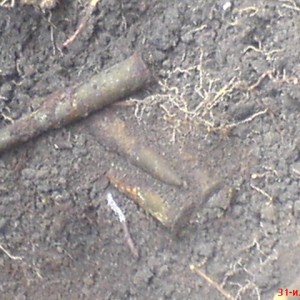 img_113204_16659.jpg