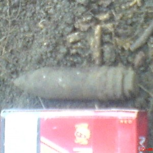 img_113205_16659.jpg