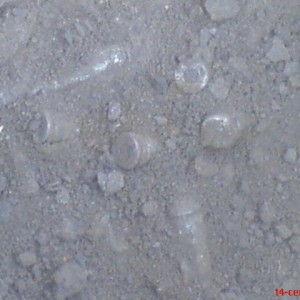 img_113209_16659.jpg