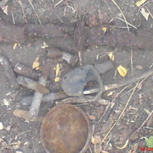 img_113213_16659.jpg
