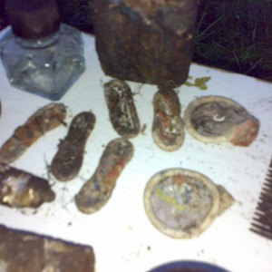 img_114001_23094.jpg