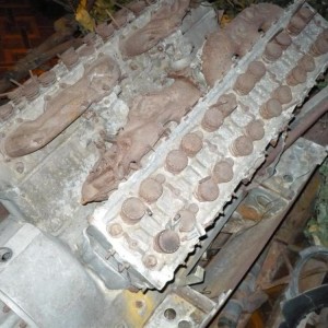 img_117072_17791.jpg
