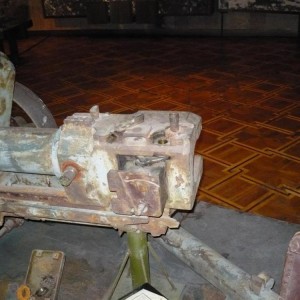img_117105_17791.jpg