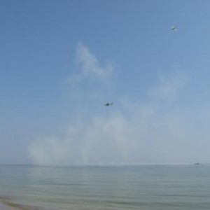 img_123296_21565.jpg