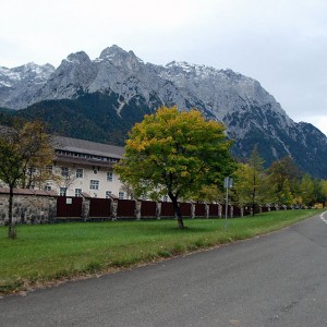 img_123784_1.jpg