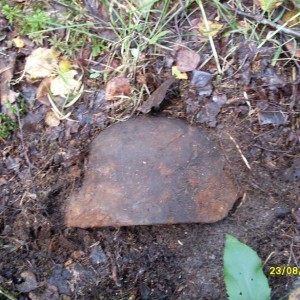 img_125540_8891.jpg