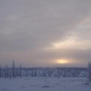 img_131081_8392.jpg