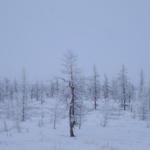 img_131085_8392.jpg