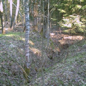 img_133206_21149.jpg
