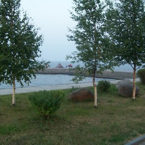img_134782_25122.jpg