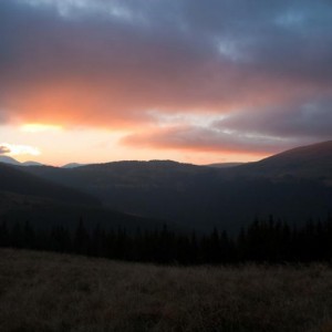 img_138058_11514.jpg