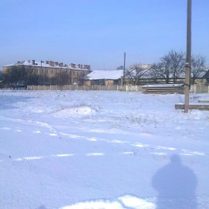 img_143259_24509.jpg