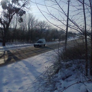 img_143321_24509.jpg