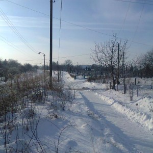 img_143322_24509.jpg