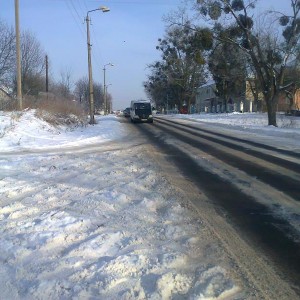 img_143323_24509.jpg