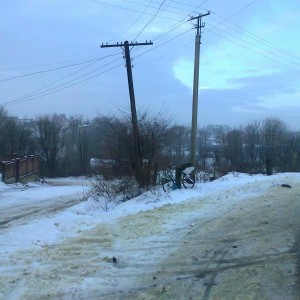 img_143947_24509.jpg
