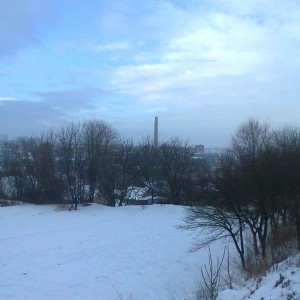 img_143949_24509.jpg