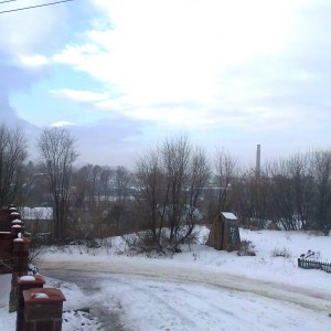 img_143954_24509.jpg