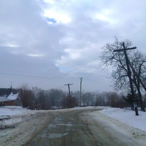 img_143955_24509.jpg