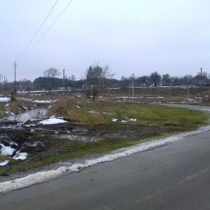 img_147192_24509.jpg