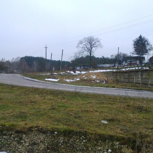 img_147193_24509.jpg