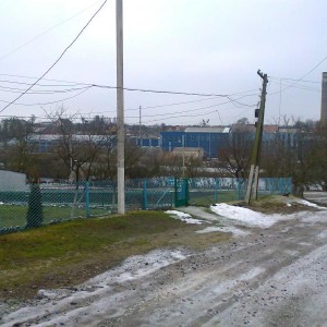 img_147194_24509.jpg