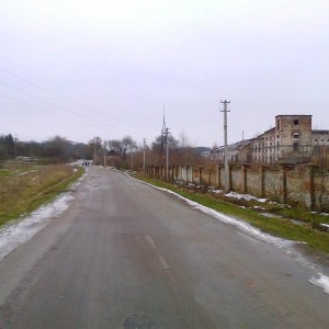 img_147195_24509.jpg