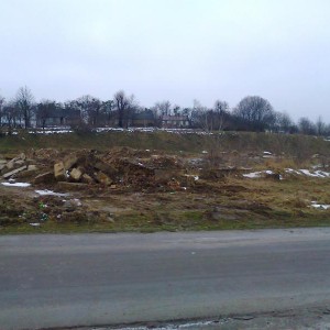 img_147197_24509.jpg