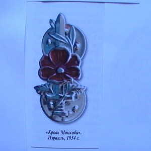 img_151558_35803.jpg