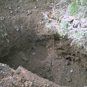 находки 2009