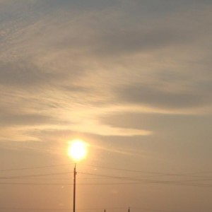 img_154012_8392.jpg