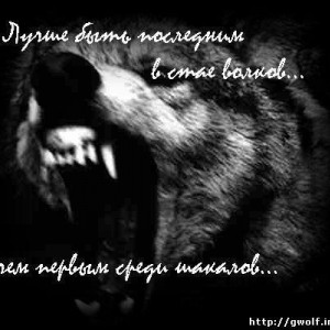 img_154187_11793.jpg
