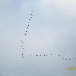 img_157864_8891.jpg