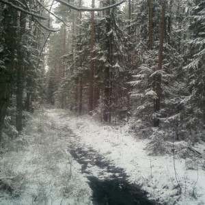img_157898_8891.jpg