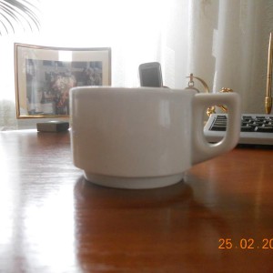 img_158155_24995.jpg