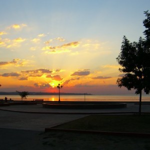 img_161861_21566.jpg