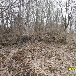 img_171358_21149.jpg