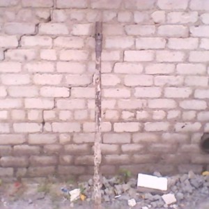 img_172599_16659.jpg