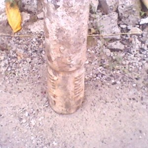 img_172601_16659.jpg