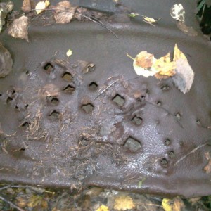 img_178638_37239.jpeg